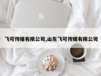 飞可传媒有限公司,山东飞可传媒有限公司