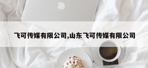 飞可传媒有限公司,山东飞可传媒有限公司