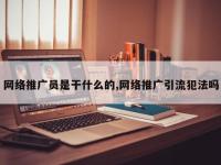 网络推广员是干什么的,网络推广引流犯法吗