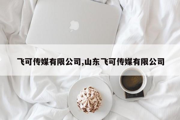 飞可传媒有限公司,山东飞可传媒有限公司